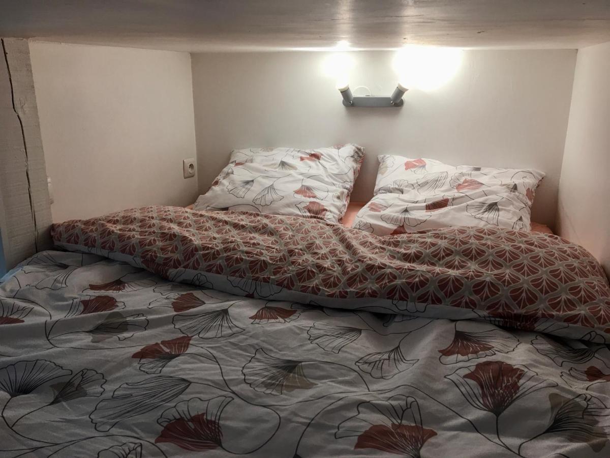 Le Jungle Studio Apartment Rouen Luaran gambar