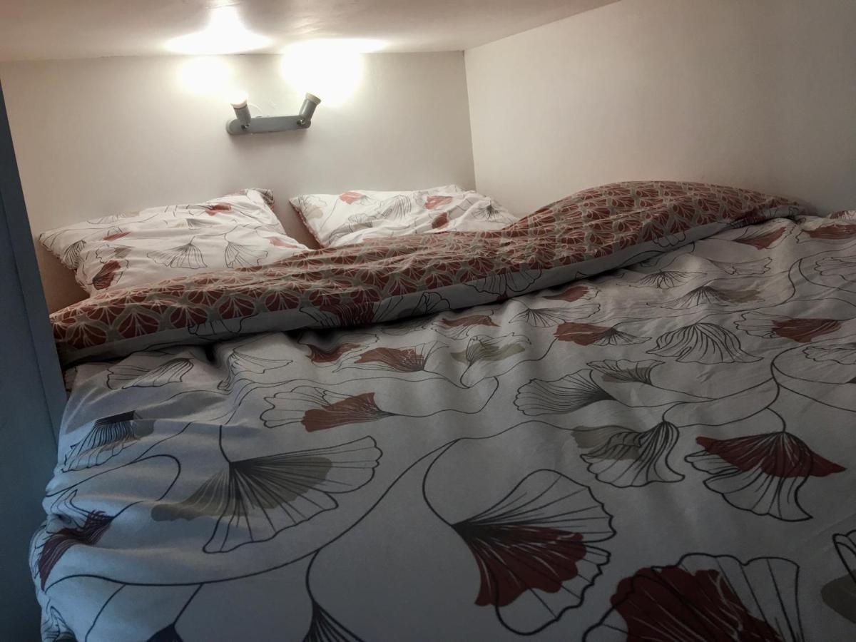 Le Jungle Studio Apartment Rouen Luaran gambar